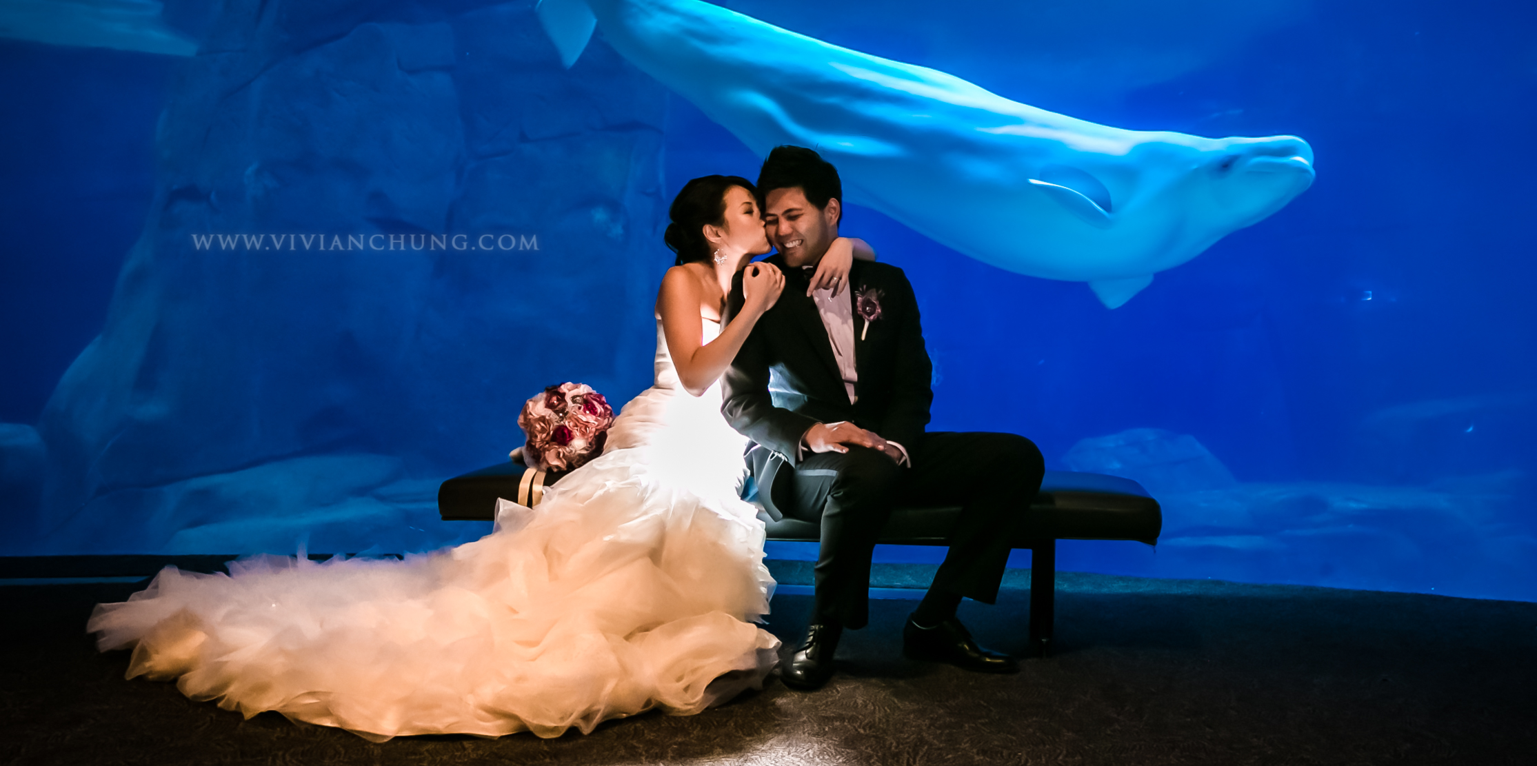 Shawn and michelle wedding, Vancouver Aquarium, Vancouver Aquarium Wedding